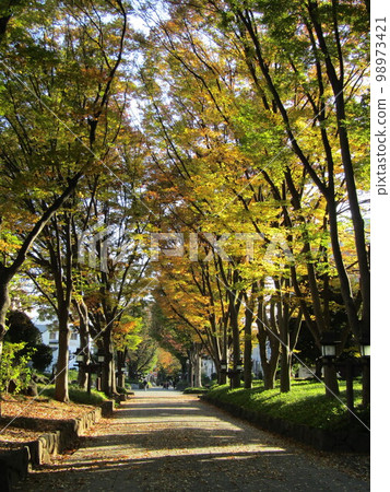 Omiya Hikawa Shrine Approach Omiya Hikawa Shrine Approach 98973421