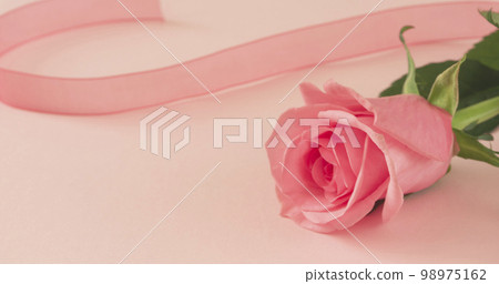 Background material of roses and ribbons. Events, Celebrations, Mother's Day, Valentine's Day, Weddings, etc. Background material of roses and ribbons. Events, Celebrations, Mother's Day, Valentine's Day, Weddings, etc. 98975162