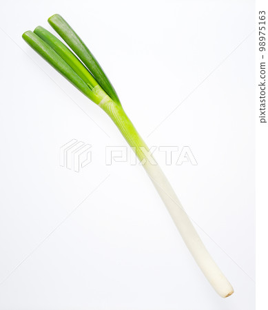 White green onion White green onion 98975163