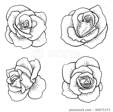 Set of Roses Rose Flowers in Vintage Woodcut Style Set of Roses Rose Flowers in Vintage Woodcut Style 98975373
