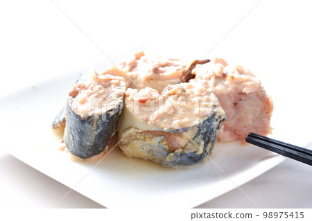 僅用水和鹽煮新鮮鯖魚 僅用水和鹽煮新鮮鯖魚 98975415
