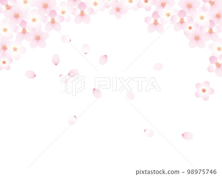 Image illustration of cherry blossoms 98975746