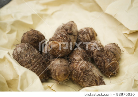 Taro Taro 98976030