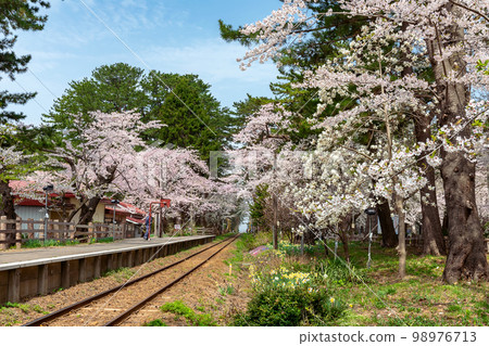 【青森縣五所河原市蘆之公園站】本州最北端的私人火車站櫻花隧道 【青森縣五所河原市蘆之公園站】本州最北端的私人火車站櫻花隧道 98976713