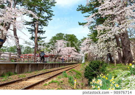 【青森縣五所河原市蘆之公園站】本州最北端的私人火車站櫻花隧道 【青森縣五所河原市蘆之公園站】本州最北端的私人火車站櫻花隧道 98976714