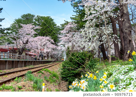 [Ashinokoen Station, Goshogawara City, Aomori Prefecture] Sakura tunnel at the northernmost private railway station in Honshu 98976715