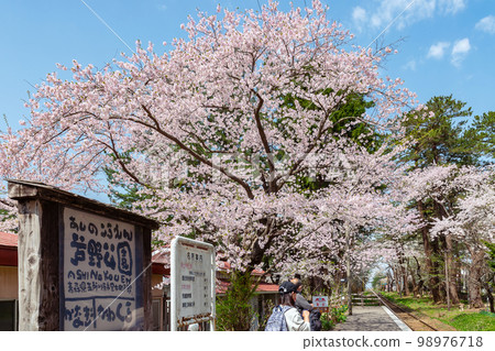 【青森縣五所河原市蘆之公園站】本州最北端的私人火車站櫻花隧道 【青森縣五所河原市蘆之公園站】本州最北端的私人火車站櫻花隧道 98976718