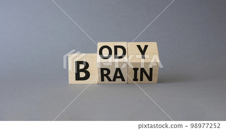 Born and Build symbol. Turned Wooden cubes with words Brain and Body. Beautiful grey background. Business and Born and Build concept. Copy space. 98977252