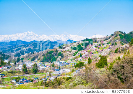 Spring in Ogawamura, Shinshu (cherry blossoms in Nitanda) Spring in Ogawamura, Shinshu (cherry blossoms in Nitanda) 98977998