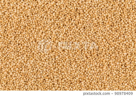 amaranth grain closeup amaranth grain closeup 98978409