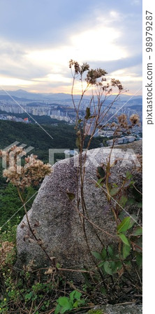 北寒山黎明。北漢山入口。亭子站Paragon公寓。學院建設。建國大學 98979287