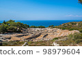 Panoramic view of Ancient Kamiros in Crete 98979604