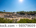 Ruins of Ancient Kamiros in Crete 98979609