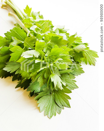 Lovage on white Lovage on white 98980000