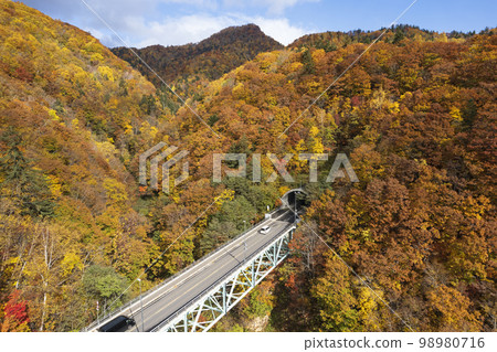 Autumn leaves around Jozankei Dam in Hokkaido (aerial view) Autumn leaves around Jozankei Dam in Hokkaido (aerial view) 98980716