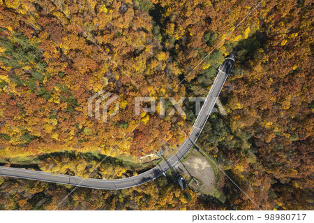 Road and autumn leaves around Jozankei Dam, Hokkaido (aerial view, true bird's eye view) Road and autumn leaves around Jozankei Dam, Hokkaido (aerial view, true bird's eye view) 98980717