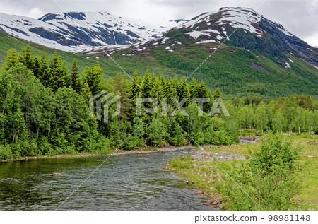 Travel destination Norway - norwegian landscape in Geiranger - Norway 98981148