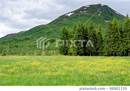 Travel destination Norway - norwegian landscape in Geiranger - Norway 98981150