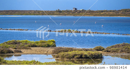 Las Salinas Ornithological Viewpoint, Cabo de Gata-Nijar Natural Park, Spain 98981414