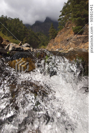 Taburiente River, Caldera de Taburiente National Park, Spain 98981441