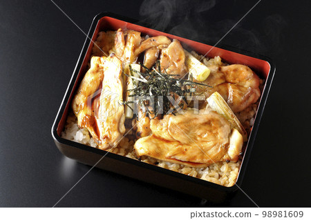 黑色背景上的熱炭烤烤雞肉串的頭頂照片,上面有很多醬汁 黑色背景上的熱炭烤烤雞肉串的頭頂照片,上面有很多醬汁 98981609