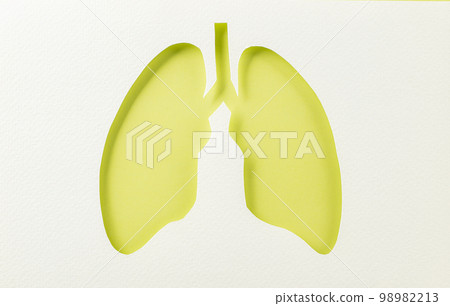 World tuberculosis day. Lungs paper cutting symbol on white background, copy space, concept of world TB day, banner background, respiratory diseases, lung cancer awareness, Paper Art, 24 March World tuberculosis day. Lungs paper cutting symbol on white background, copy space, concept of world TB day, banner background, respiratory diseases, lung cancer awareness, Paper Art, 24 March 98982213