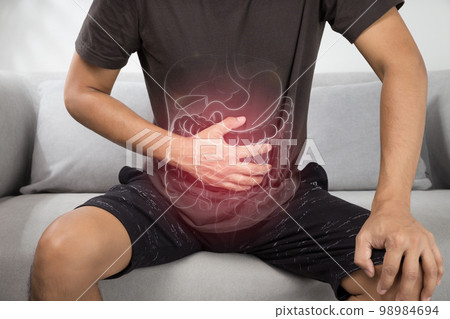 internal organs 98984694