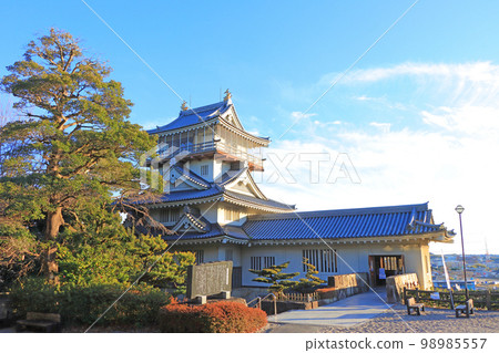 Scenery of Nisshin City and Iwasaki Castle 98985557