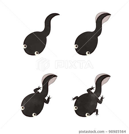 插圖集的可愛蝌蚪 98985564