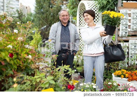 Joyful man and woman in casual clothes picking yellow Chrysanthemum flower in pots in greenhouse Joyful man and woman in casual clothes picking yellow Chrysanthemum flower in pots in greenhouse 98985728
