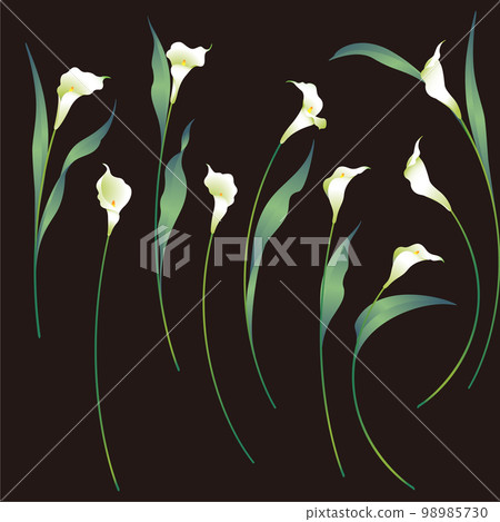 Beautiful and elegant color flower vector material collection, Beautiful and elegant color flower vector material collection, 98985730