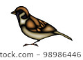 Sparrow 98986446
