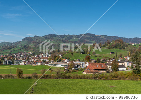 View of the village Nesslau, Toggenburg region, Canton Sankt Gallen, Switzerland 98986730