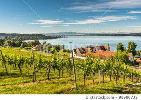 Panoramic view over Lake Constance, on the horizon the Swiss Alps 98986732