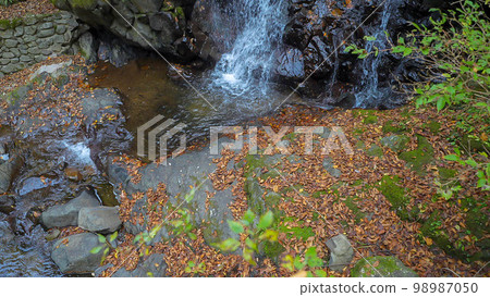 White boar waterfall 98987050