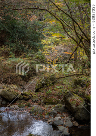 White boar waterfall White boar waterfall 98987059