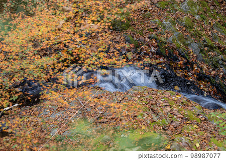 White boar waterfall White boar waterfall 98987077