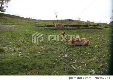 Fortress of Besancon Fortress of Besancon 98987741