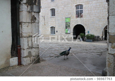 Besancon citadel zoo Besancon citadel zoo 98987763