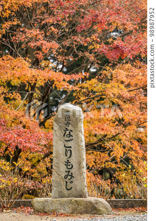 Kumohentera 98987952