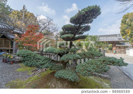 Daikoji Temple Daikoji Temple 98988589