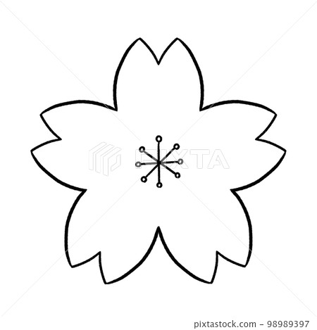 Black and white cherry blossom illustration 98989397