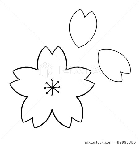 黑白櫻花插圖 黑白櫻花插圖 98989399