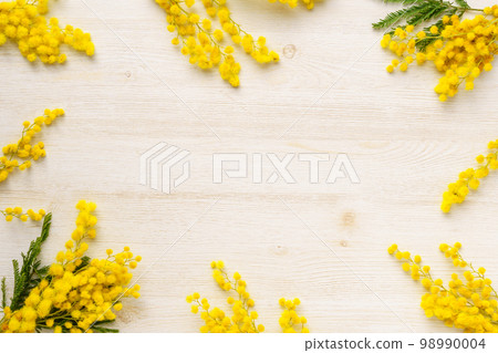 含羞草花框 含羞草花框 98990004