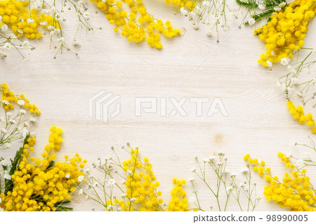 含羞草和滿天星的花框 98990005