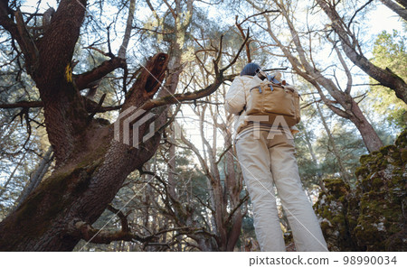 woman enjoys nature, beautiful forest in mountains woman enjoys nature, beautiful forest in mountains 98990034