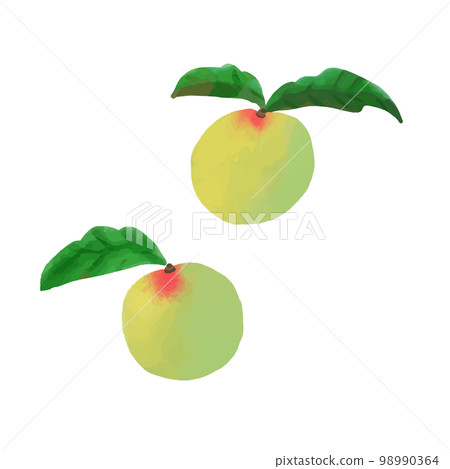 Delicious hand-painted blue plum Delicious hand-painted blue plum 98990364