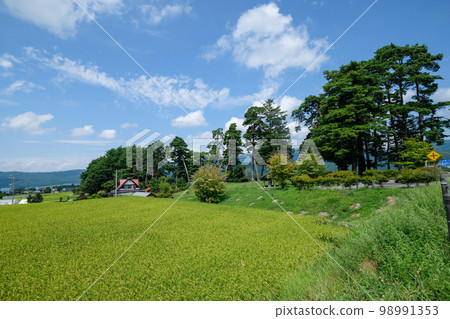 Kazayoke no Matsu (Kazeyoke Park), Chino City, Summer, Nagano Prefecture 98991353