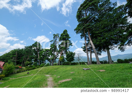 Kazayoke no Matsu (Kazeyoke Park),長野縣夏季茅野市 Kazayoke no Matsu (Kazeyoke Park),長野縣夏季茅野市 98991417