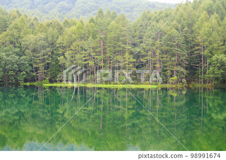 Nagano Prefecture Summer (August) Chino City Mishaka Pond 98991674